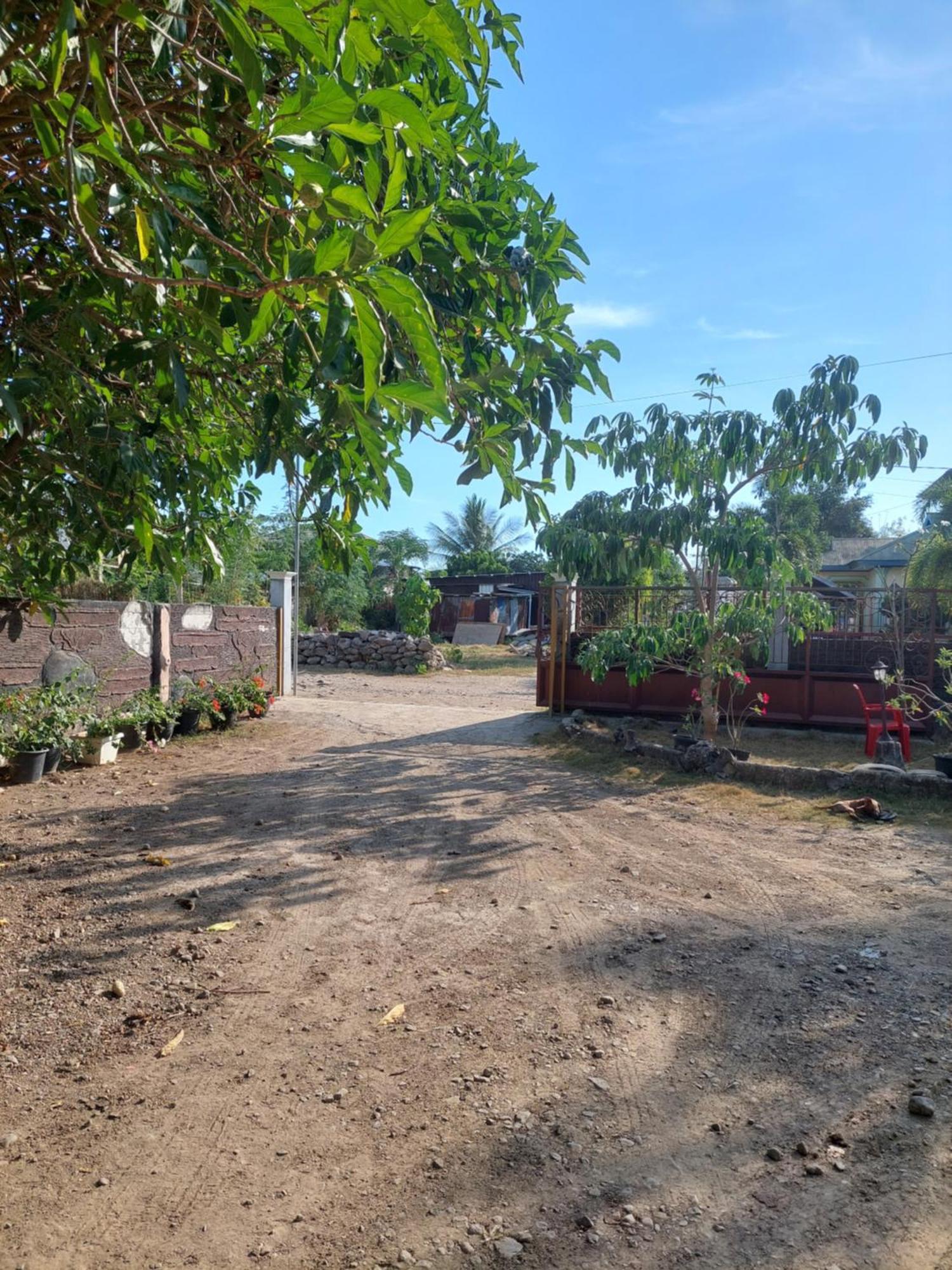 D'Ru Guest House Labuan Bajo Eksteriør billede